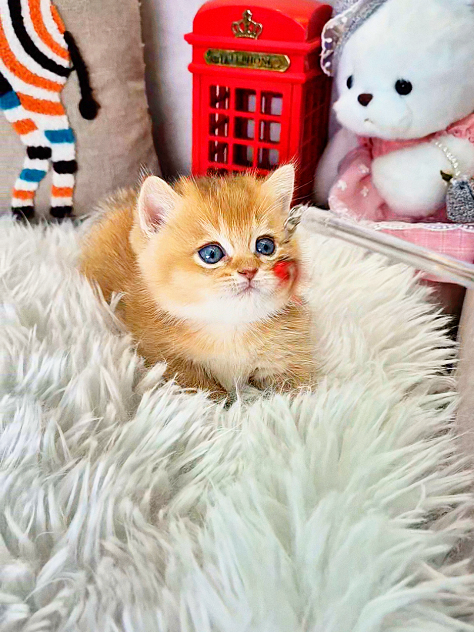 @핑발바닥은 못참는다냥🐱