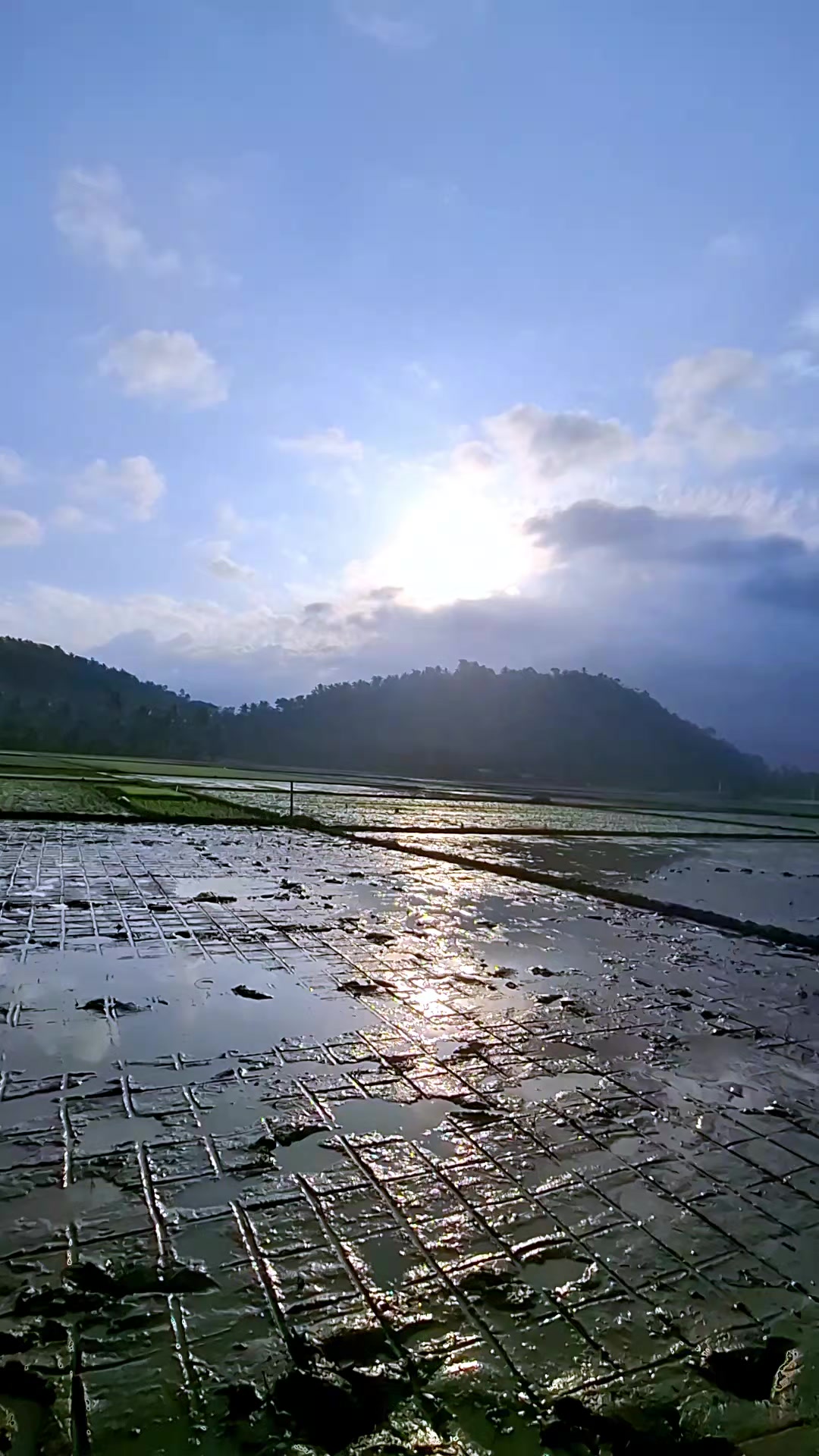 @Dhaveruya