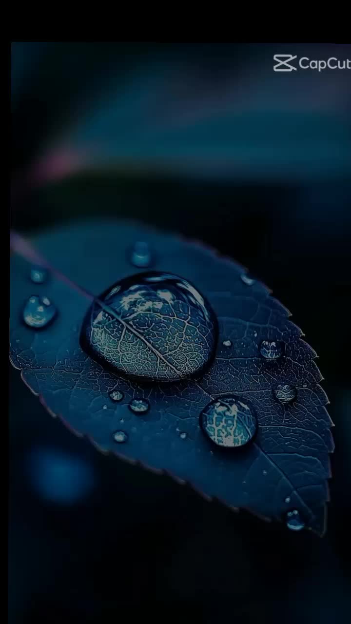 @ASHRAV23