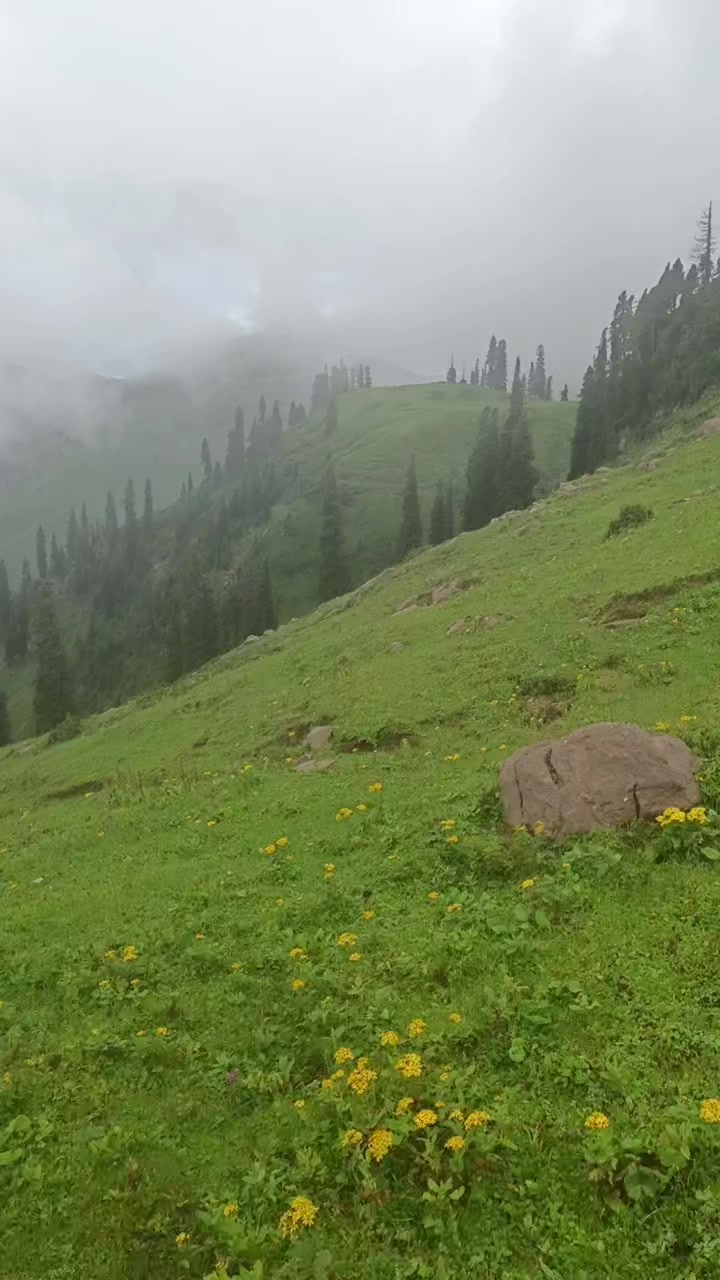 @Toseef khan