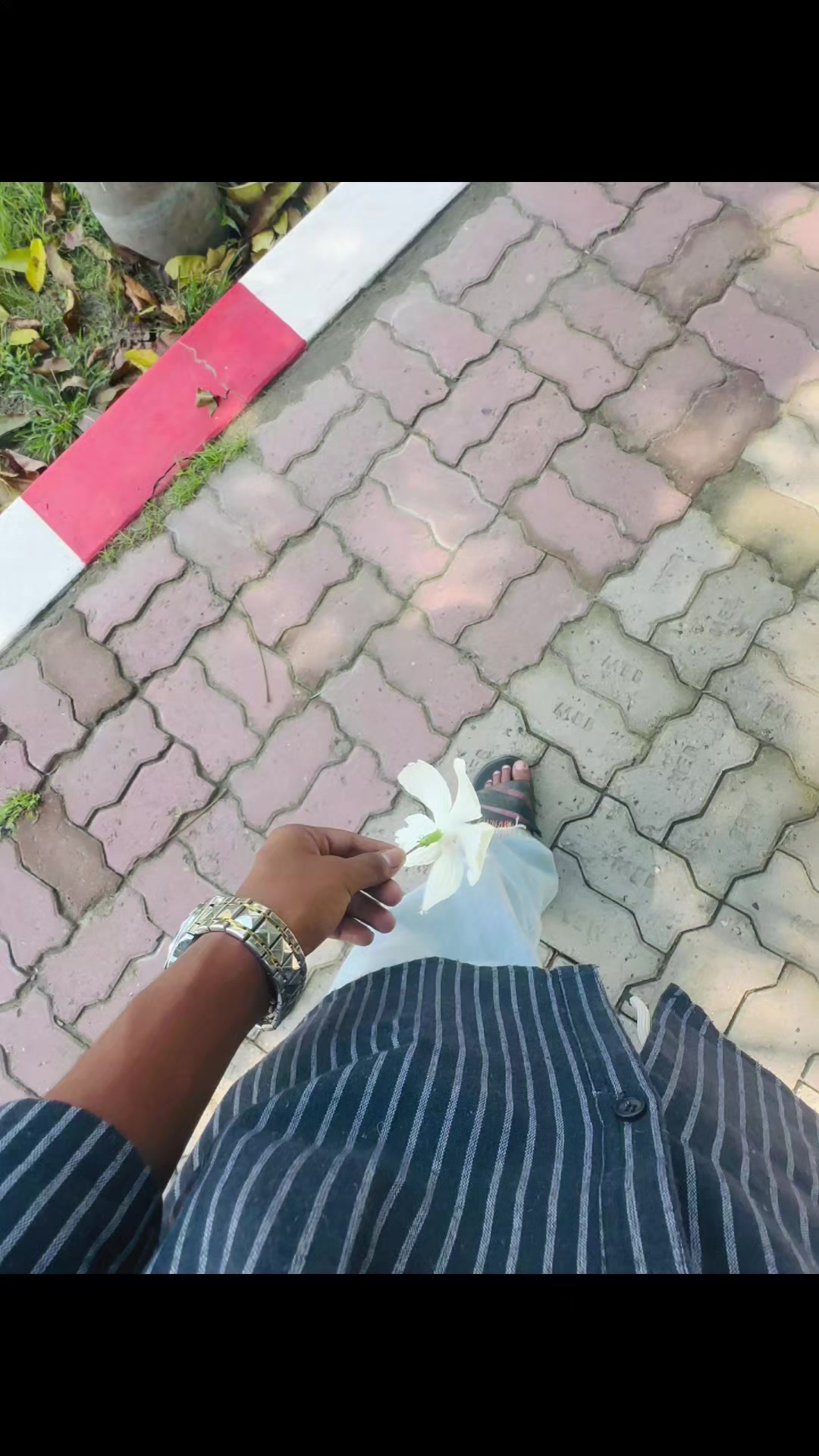 @ɴꫝᴊᴍᴜℓ🕊️