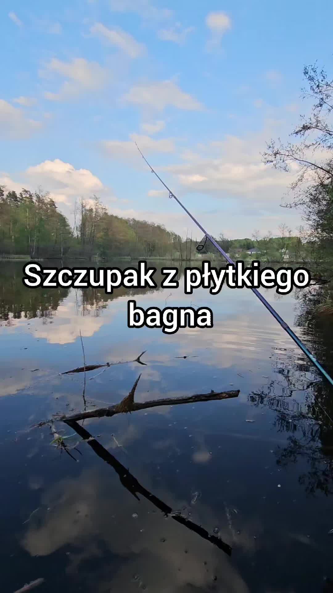 @mfly_lures