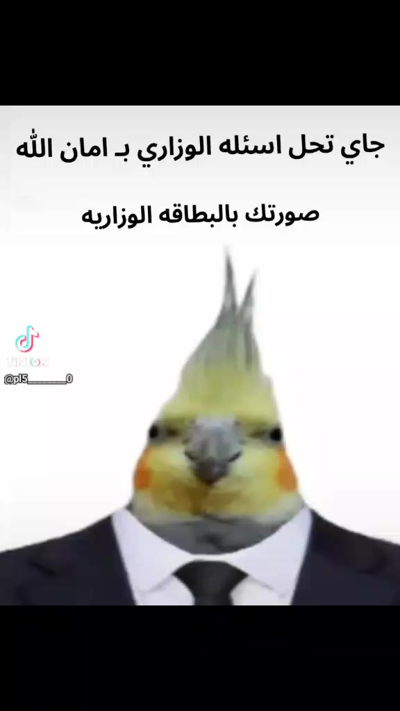@امير علي🦅🦅