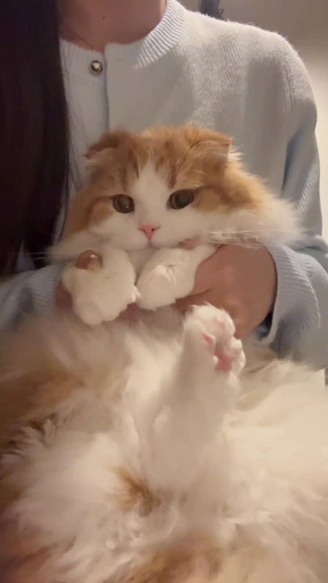 @こころ🐈💭