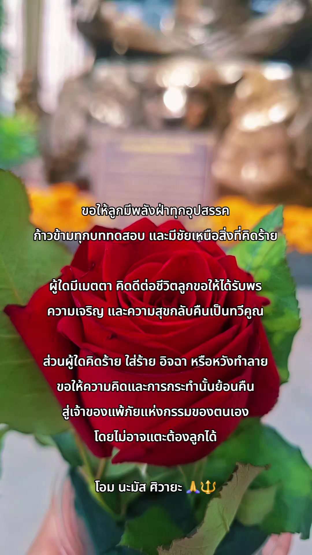 @aom.sutitsa