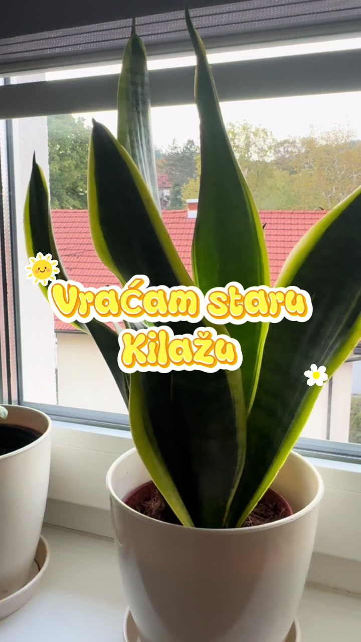 @🌛Mjesečev sjaj