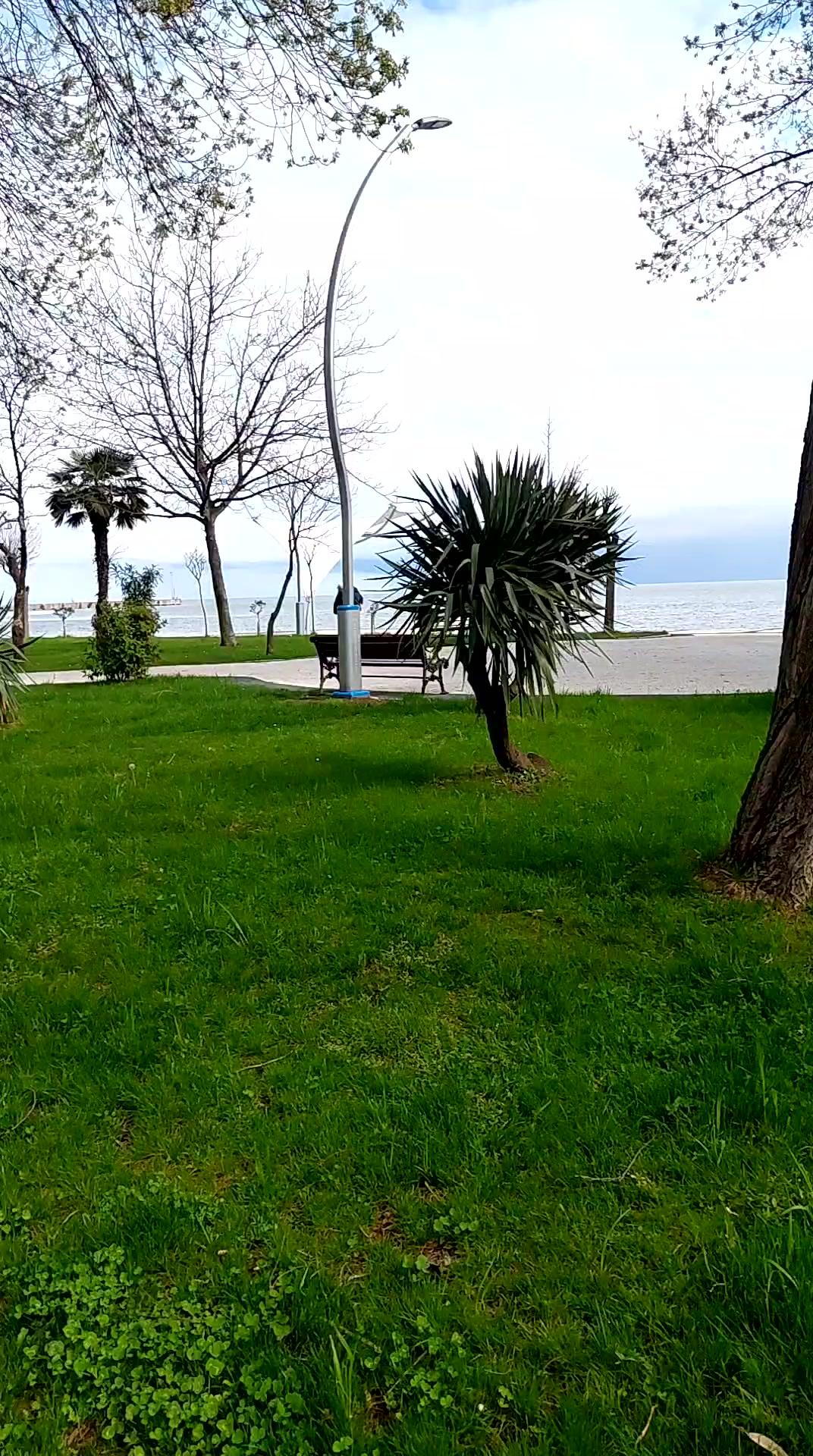 @Gül ÇebiÖzel