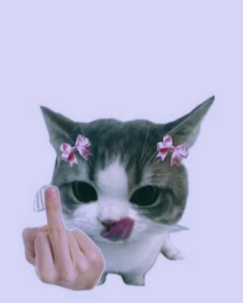 @⋆ 𐙚Levix.x⋆