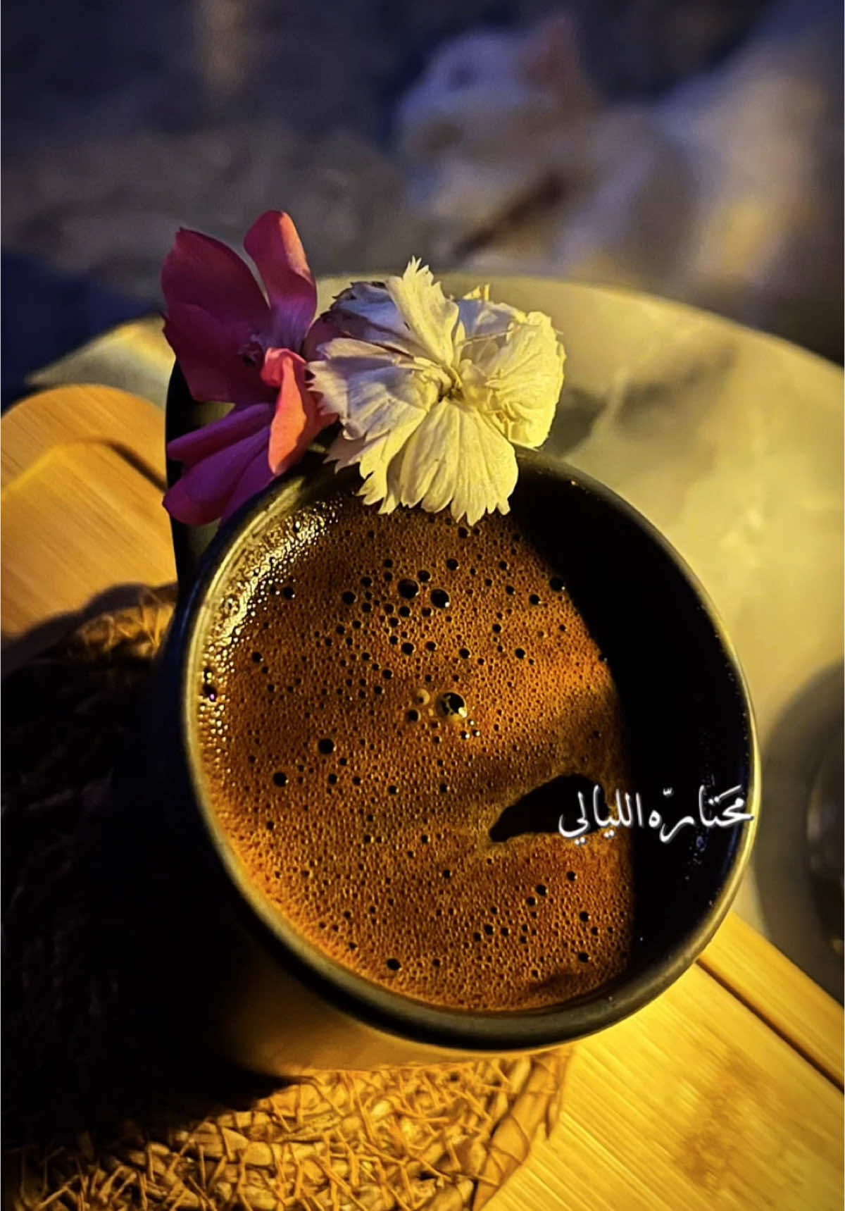 @✨𝒜𝒾𝓈𝒽𝒶🕊️