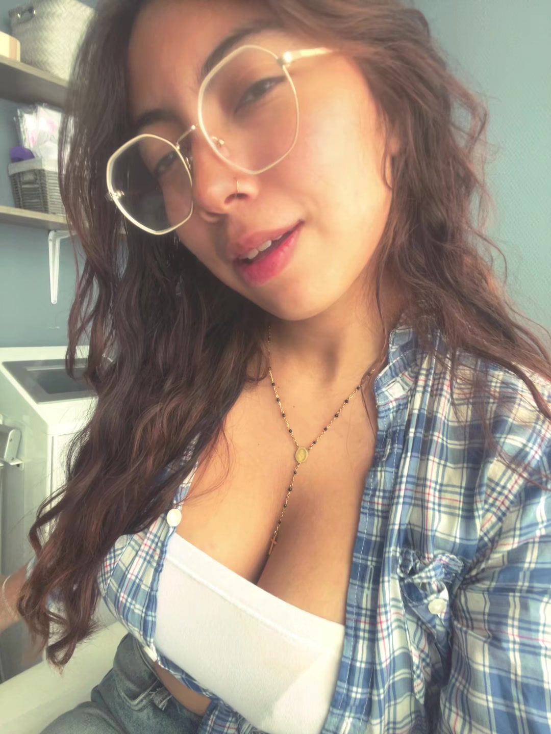 @vane_modell