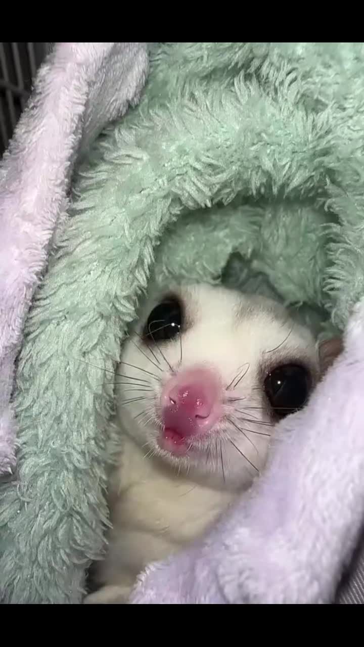 @Liloo🔮