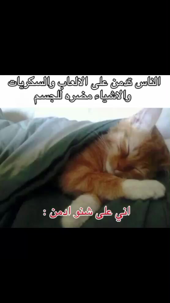 @دندن