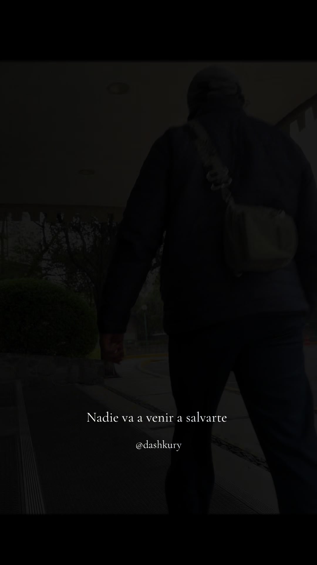 @Dash Kury