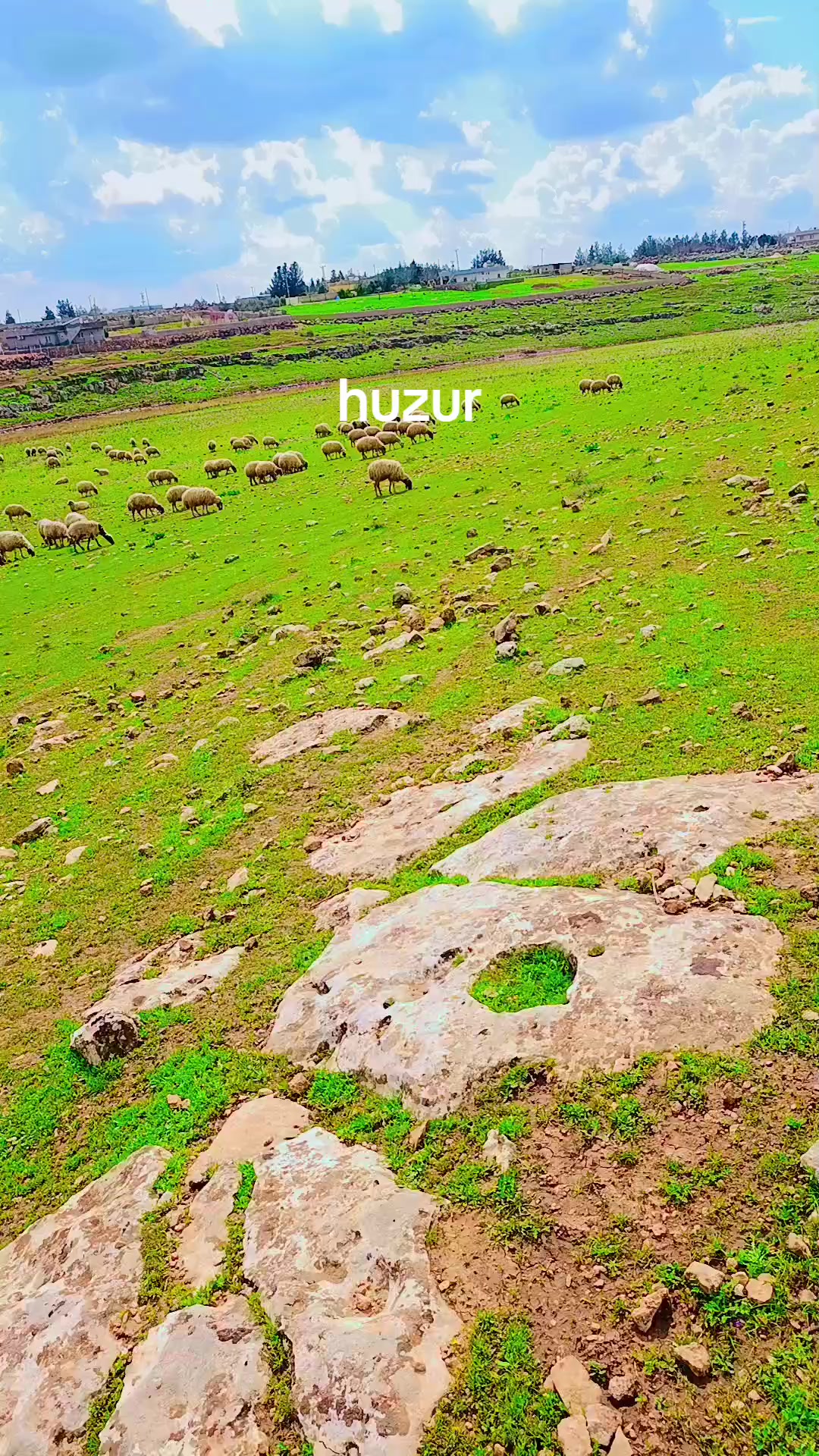 @İsmail 6363