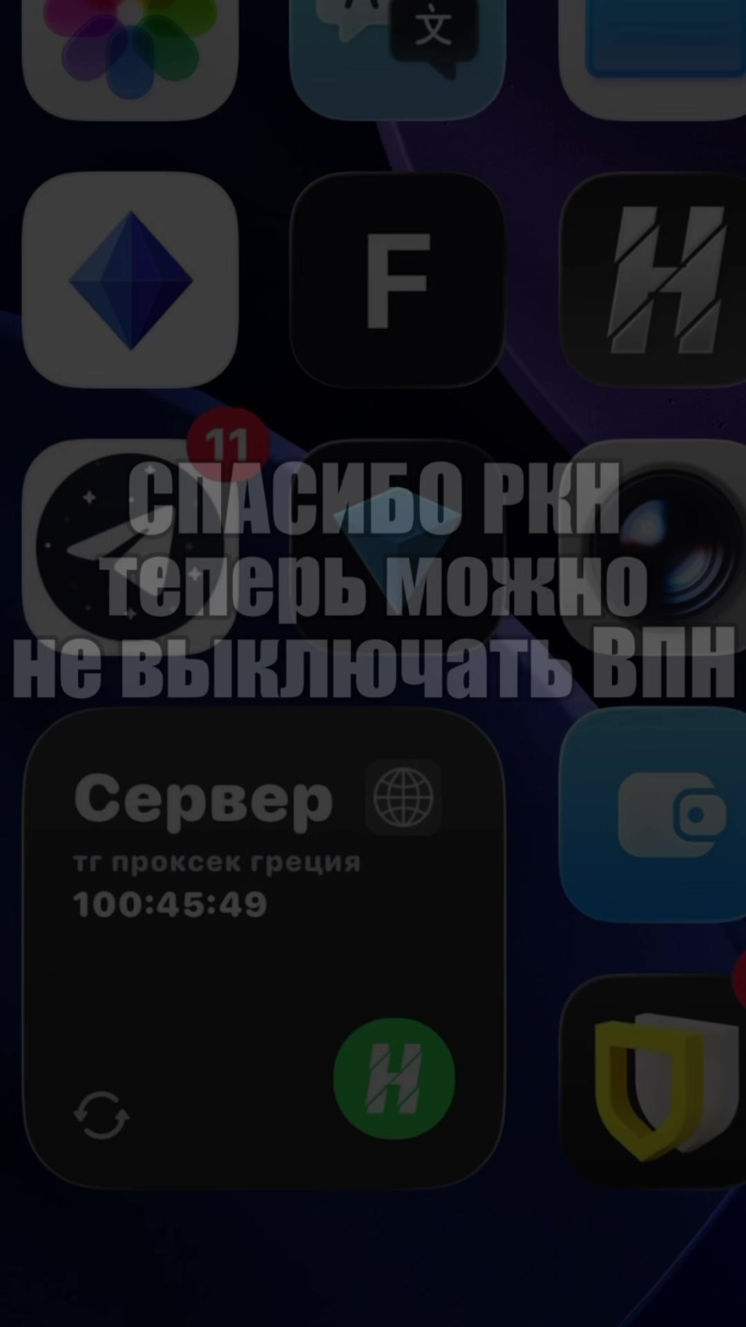 @грибовские 37