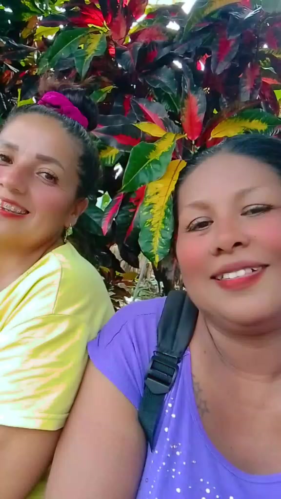 @chamaquitatoktok.com