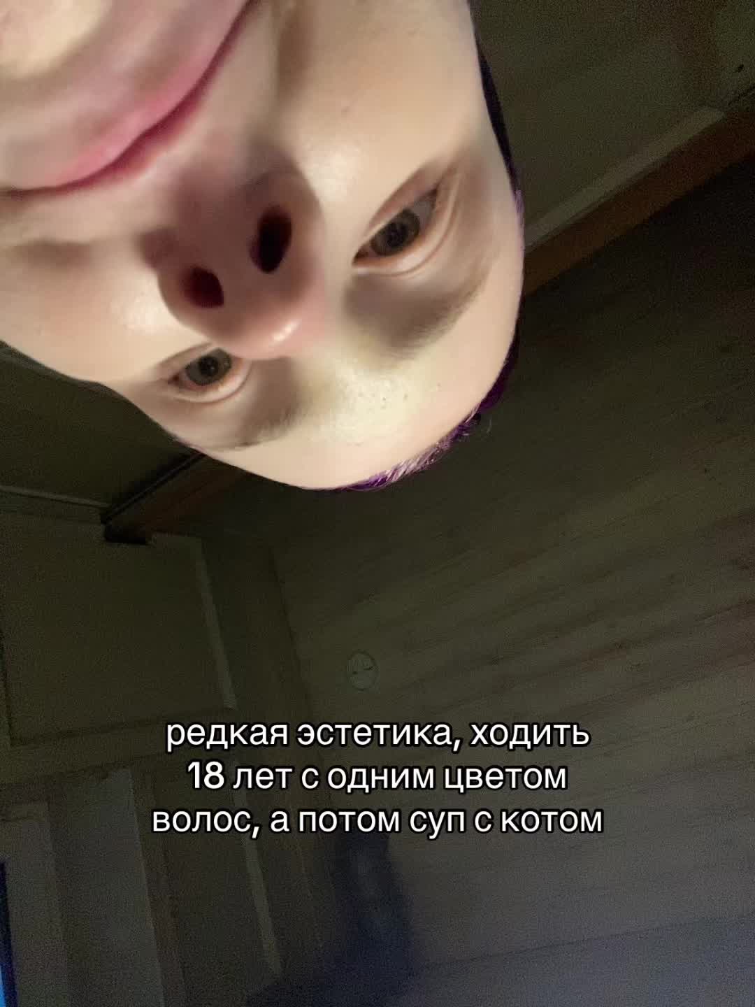 @cocsiqwp