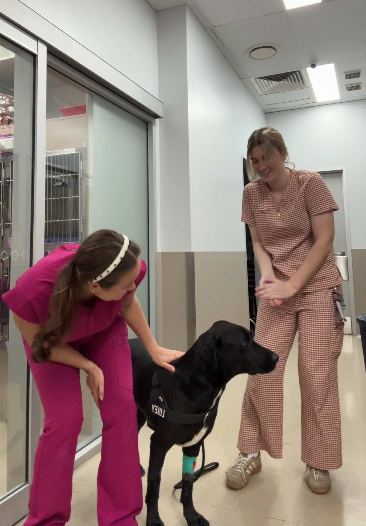 @James Street Vet