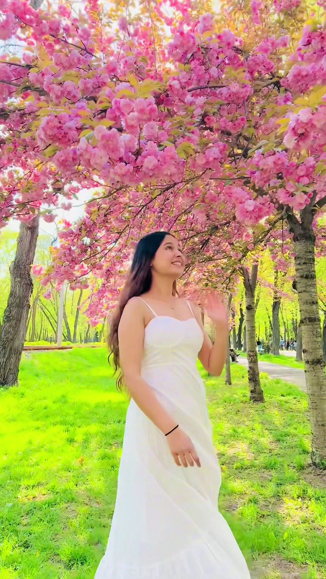@ajitachudal