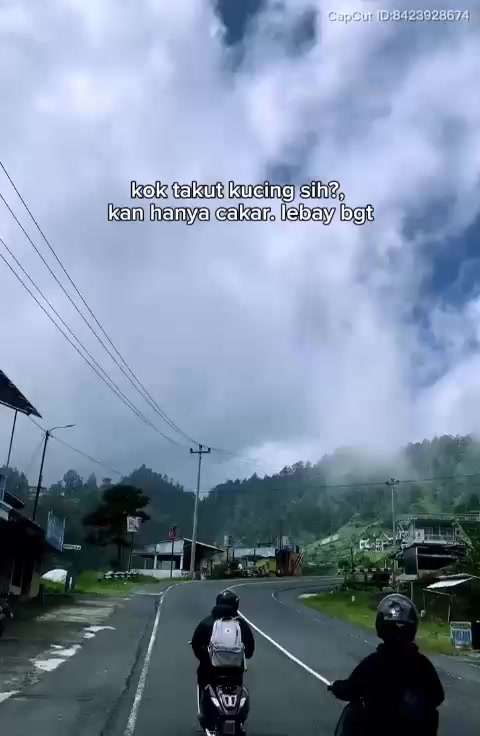 @NewLight