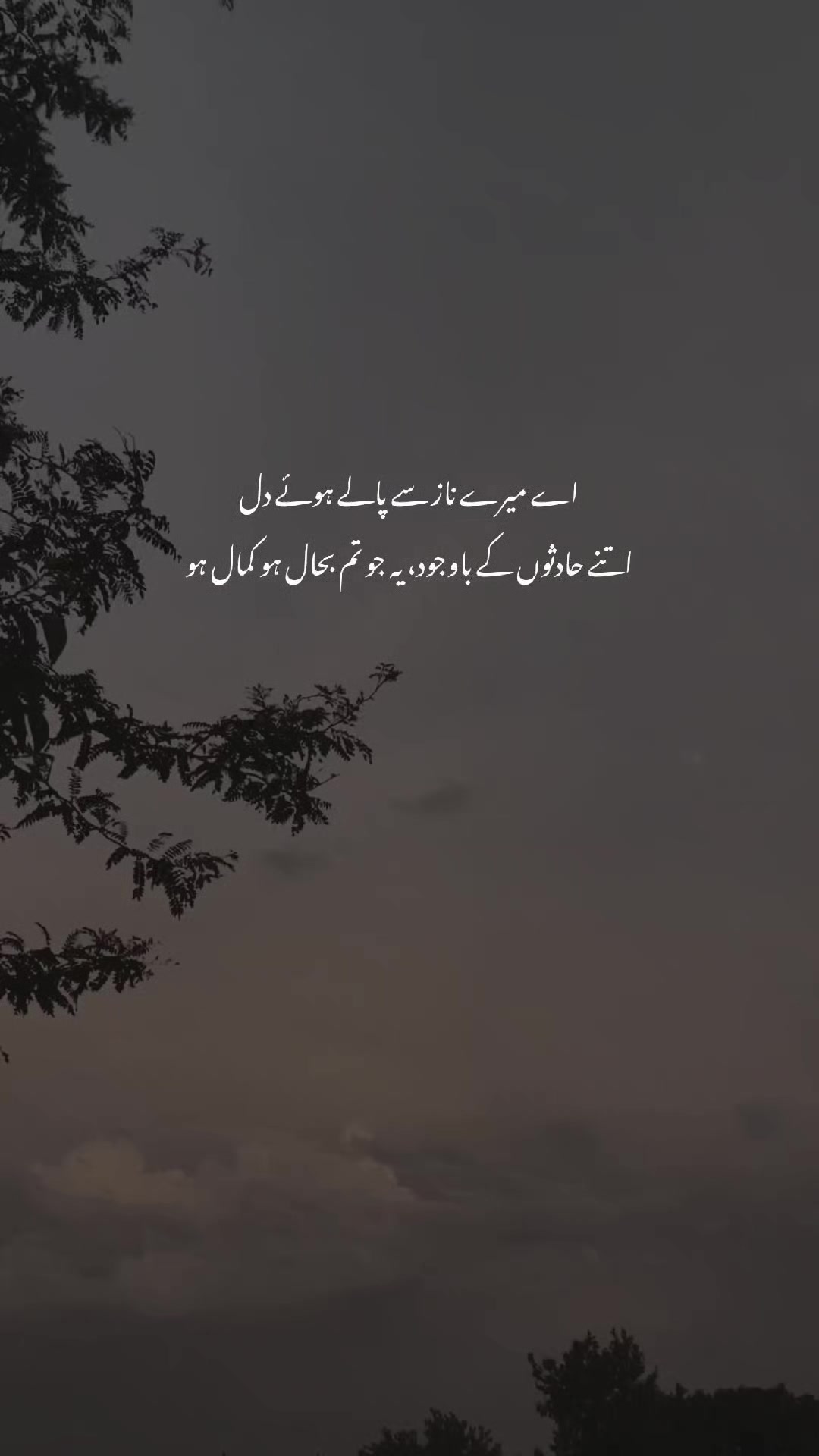 @Humayun Writes :)
