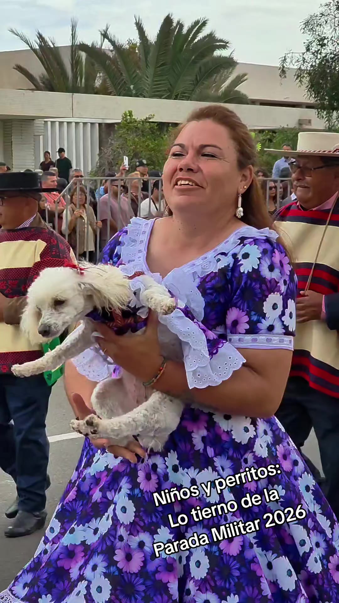 @Arica es Bacán