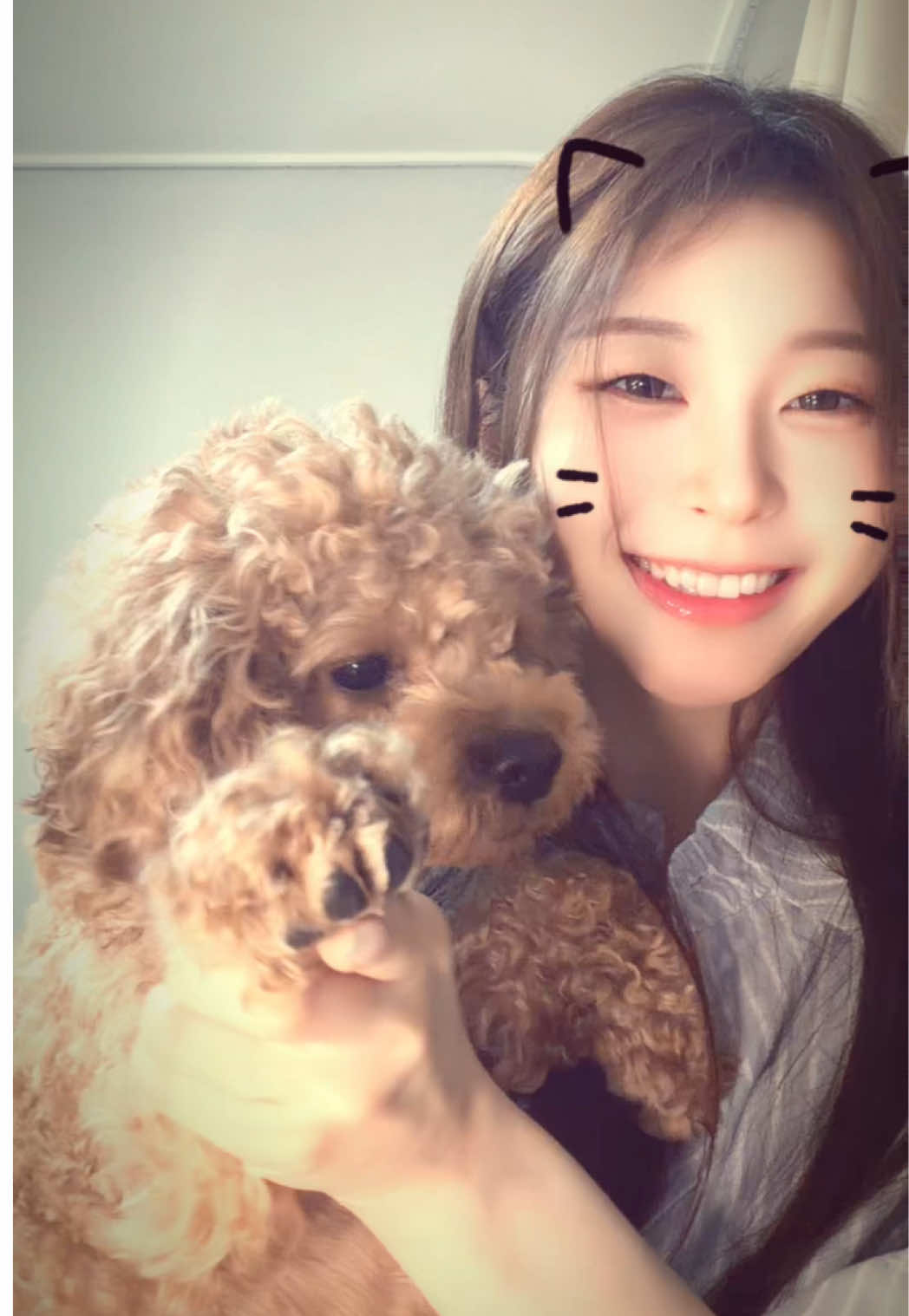 @또이도ddoedo