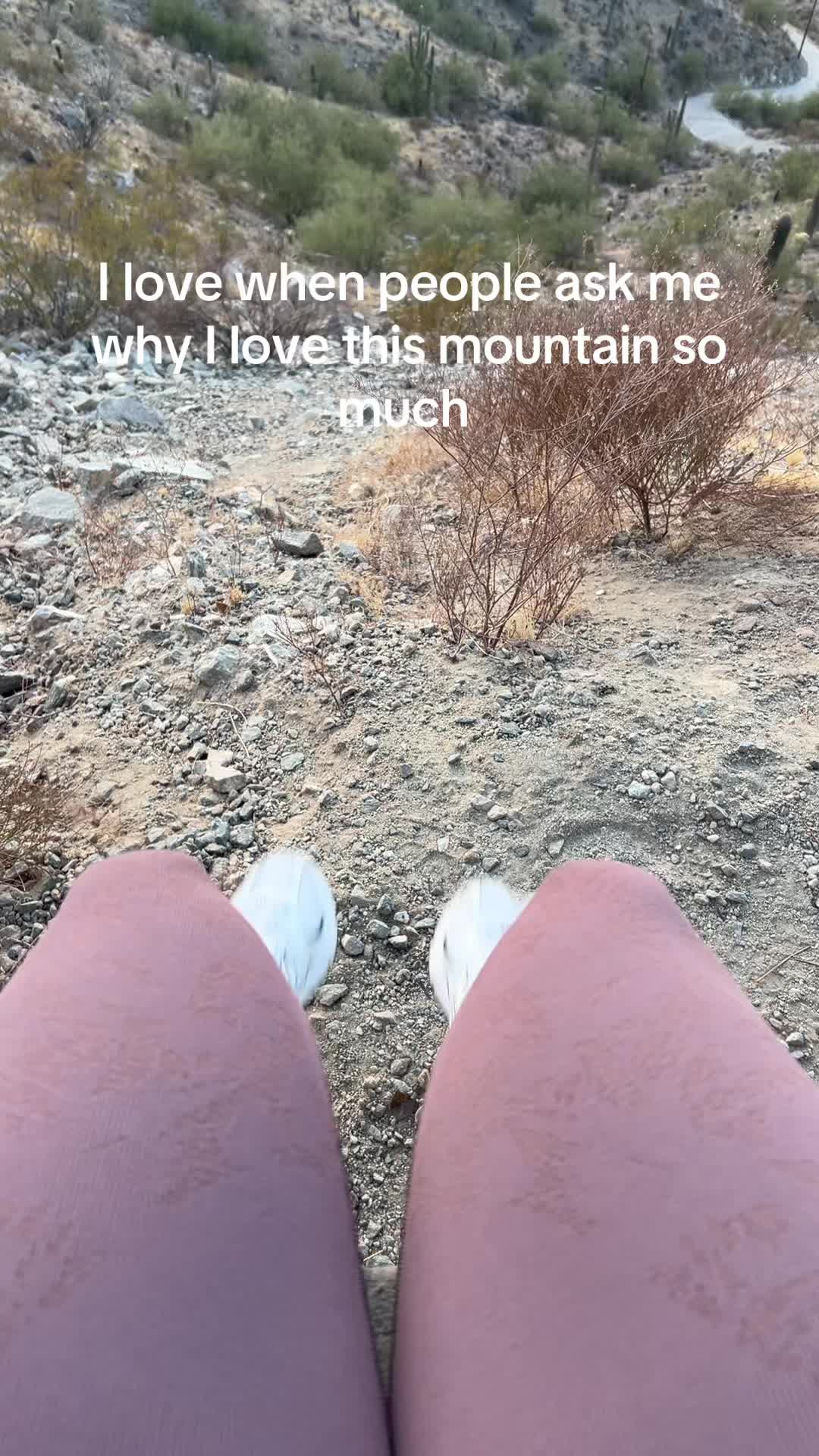 @Vixen