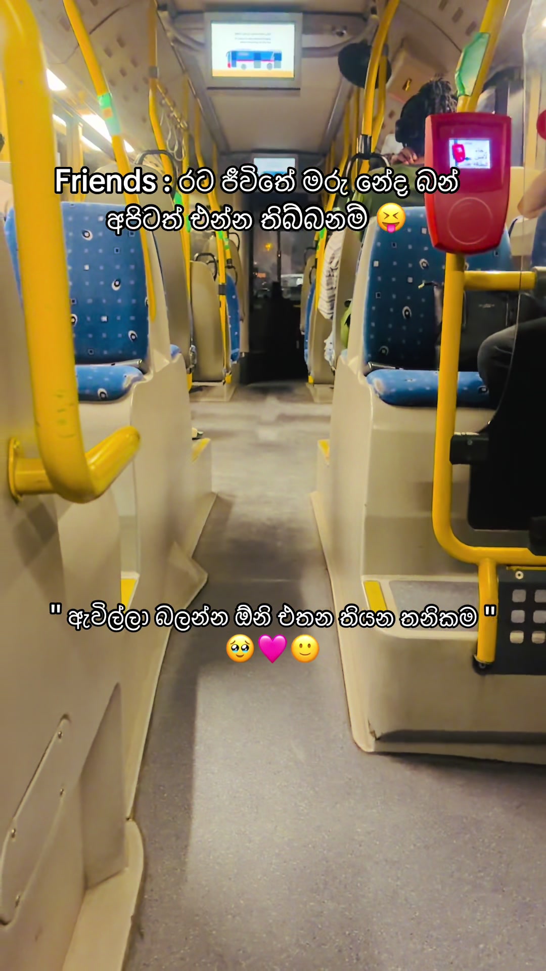 @アビシカ | Avii_🥤