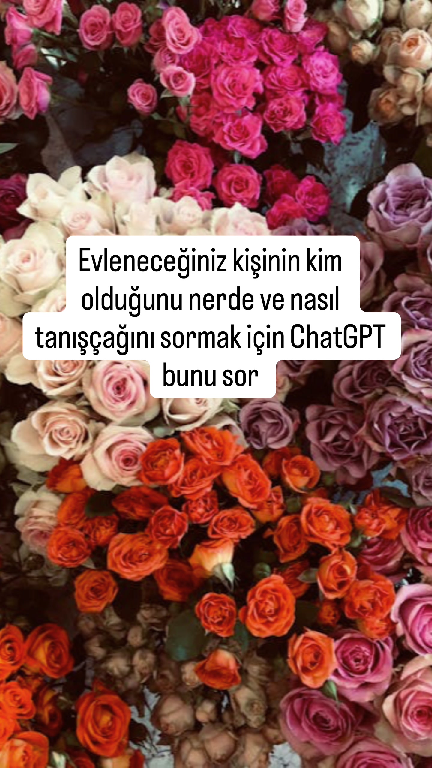 @Yıldız Ailesi