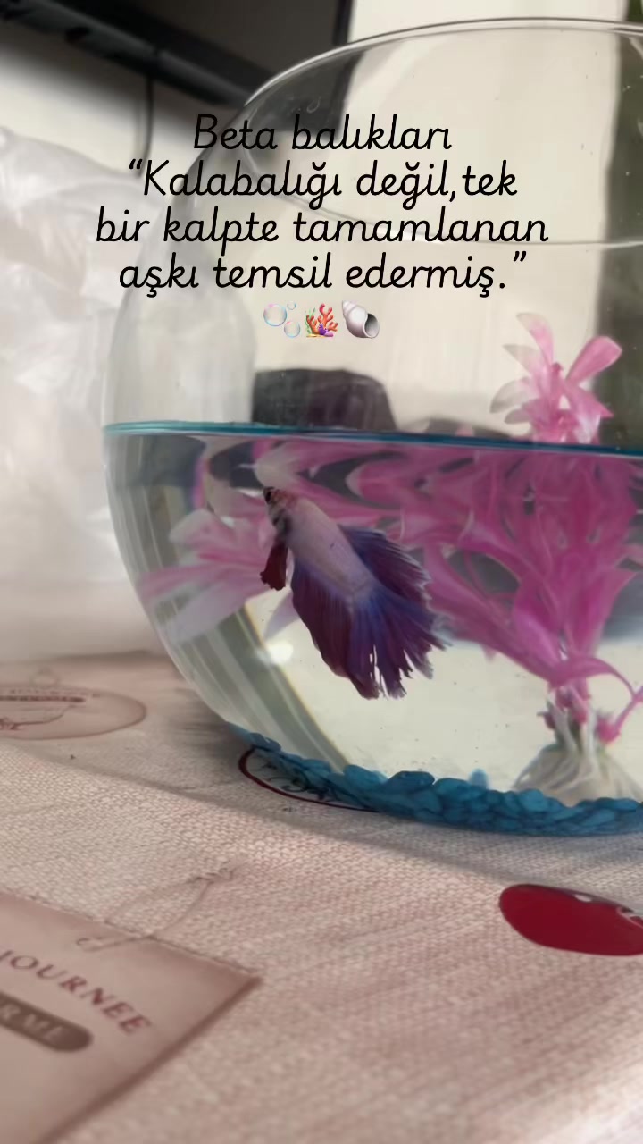 @~Tuğba~