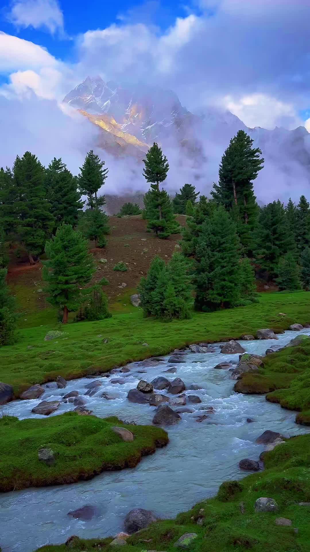 @With_hydar