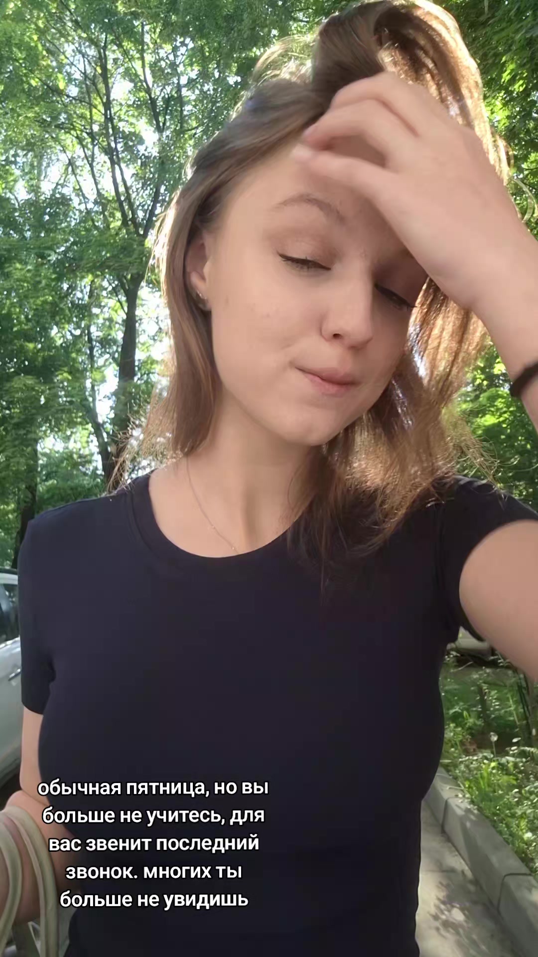 @🌲☀️