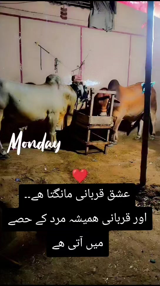 @🔥SARDAR😎🔥