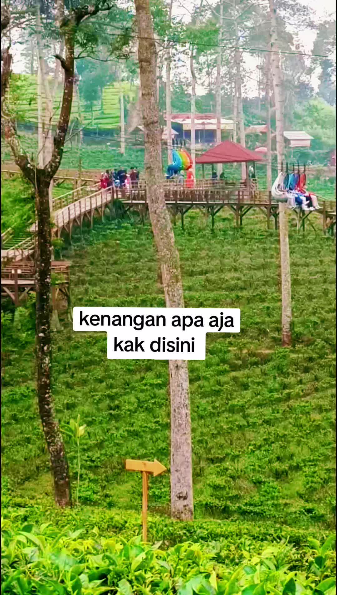 @panamajeep🇮🇩dieng