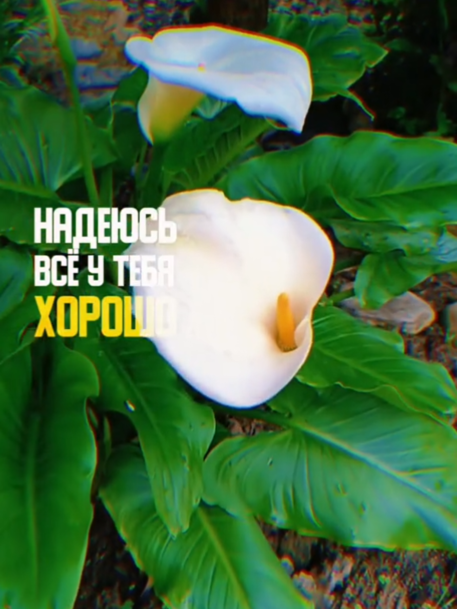 @Марина 🌺🍃