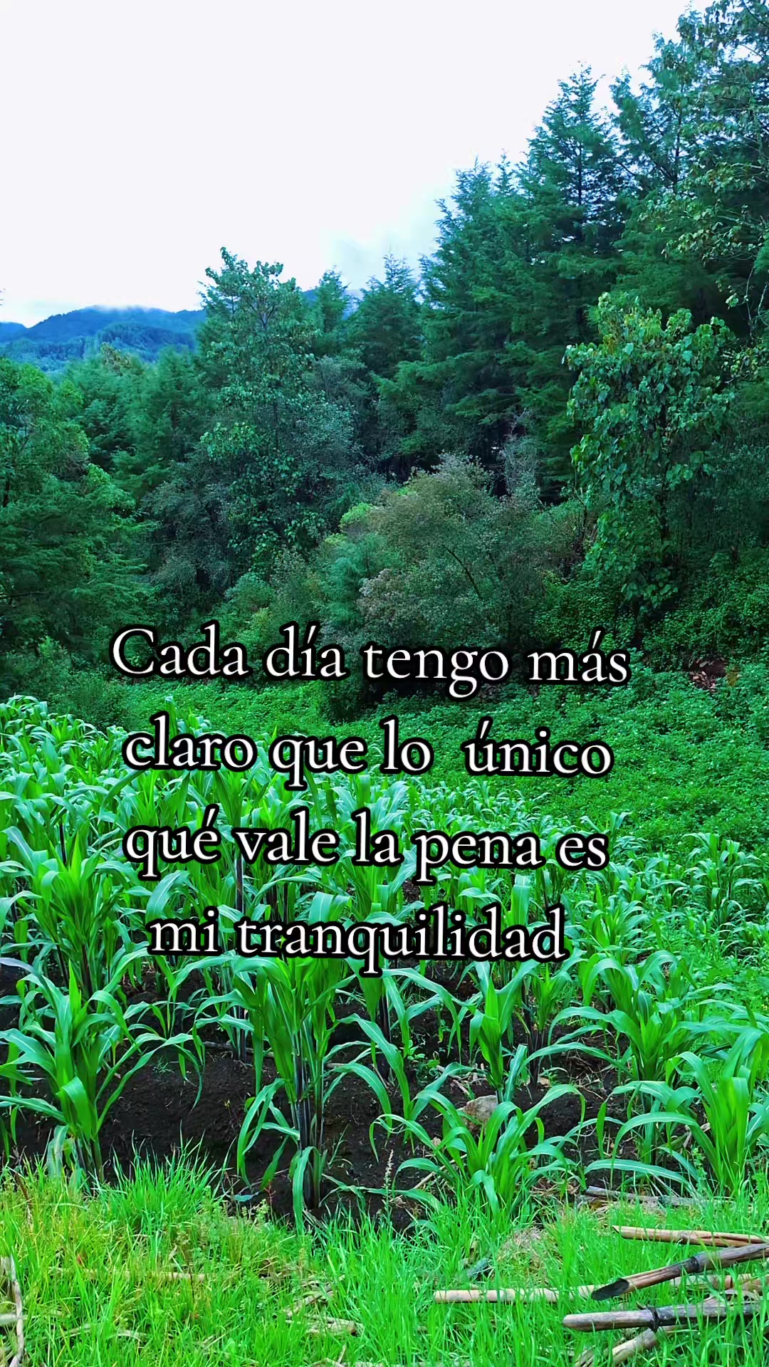 @La muñequita