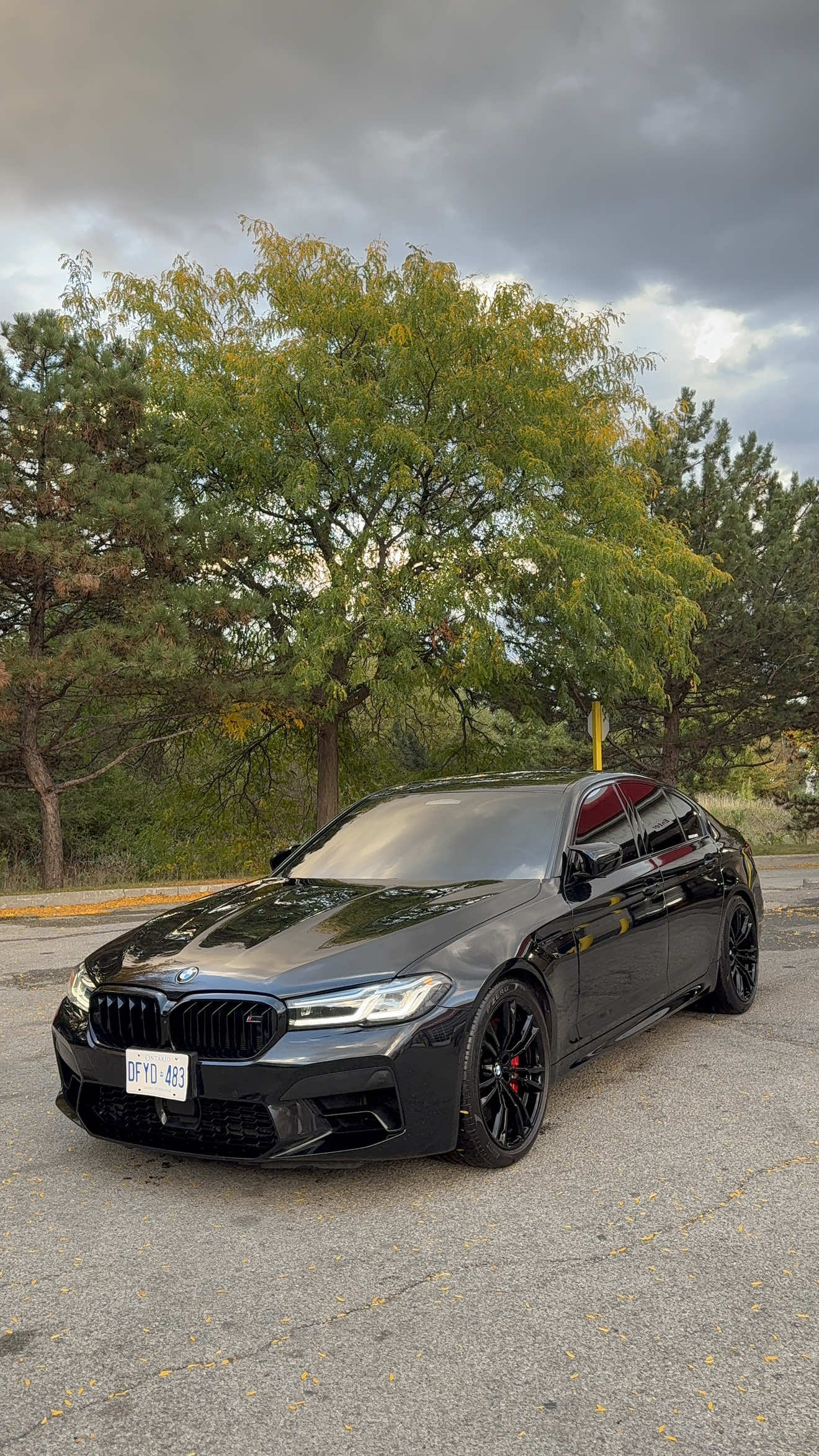 @Mafia_Detailing_Official