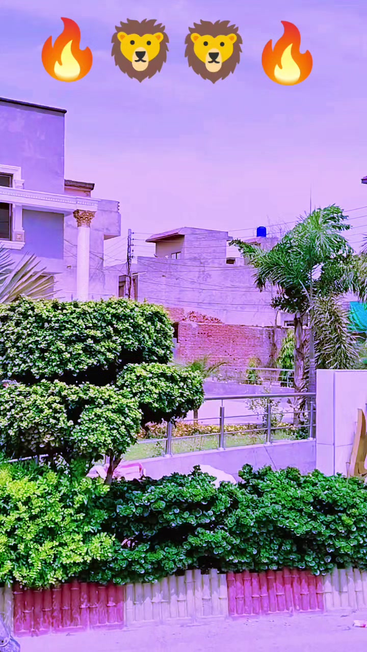 @Ch Jan M0hammad