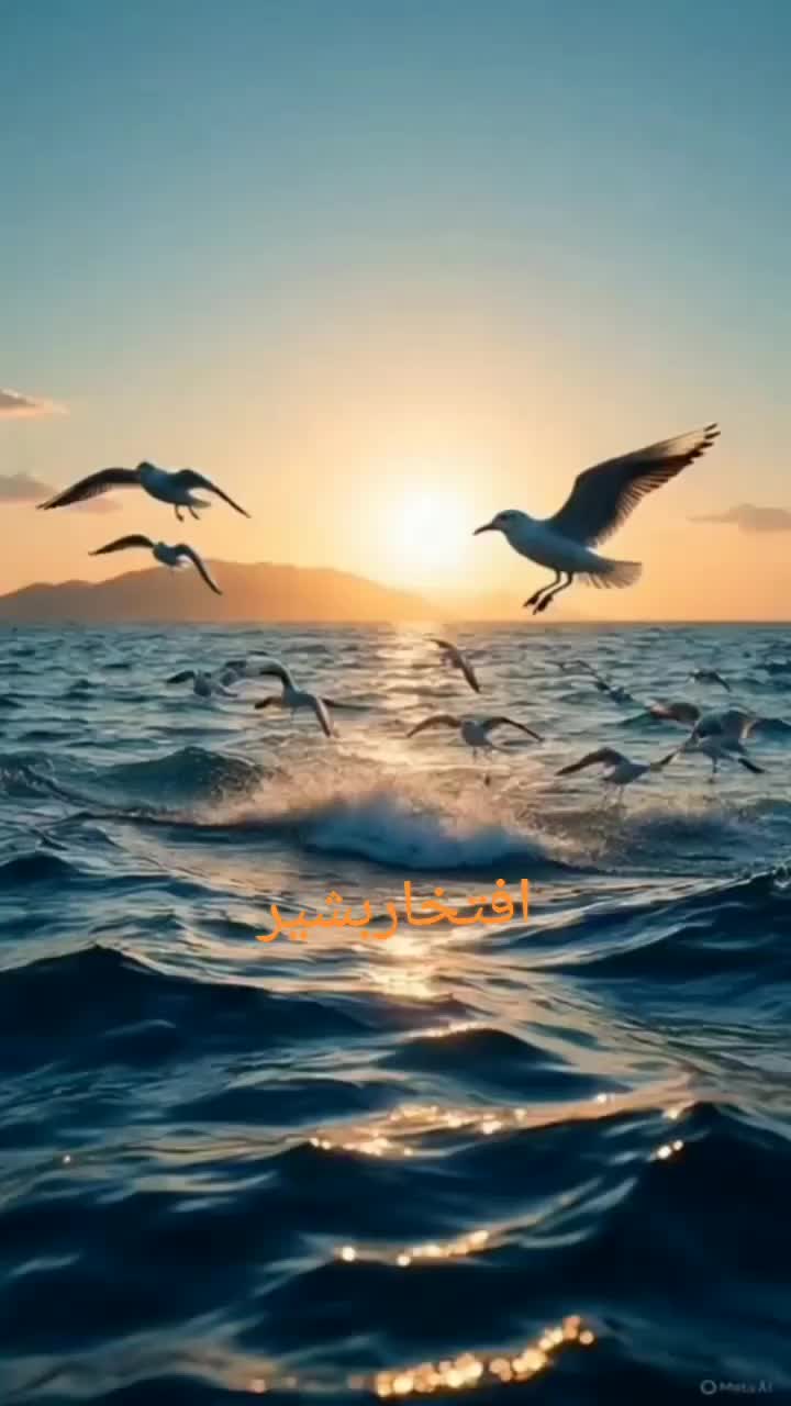 @میاں افتخار بشیر آرائیں