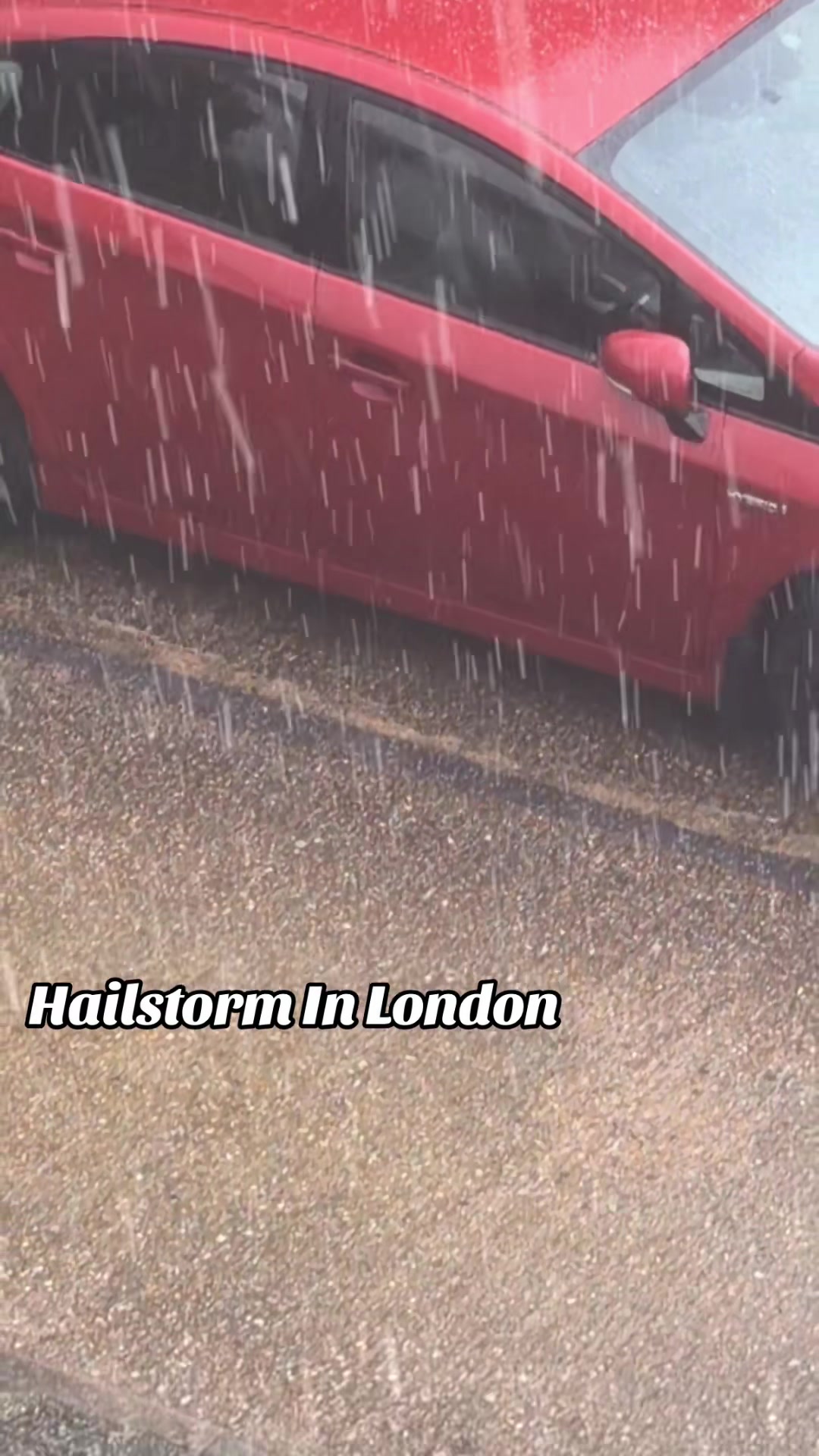 @SaskiSimone👑