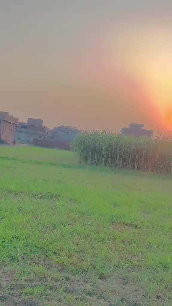 @▄︻デ 𝗦𝗛𝗘𝗥 𝗕𝗨𝗧𝗧𝗔𝗥 ══━一