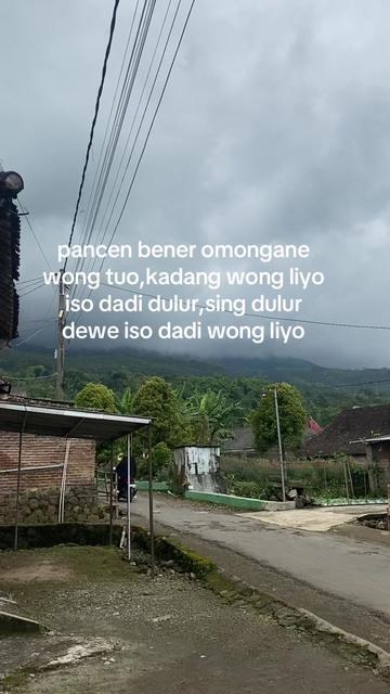 @ternosontek⚡