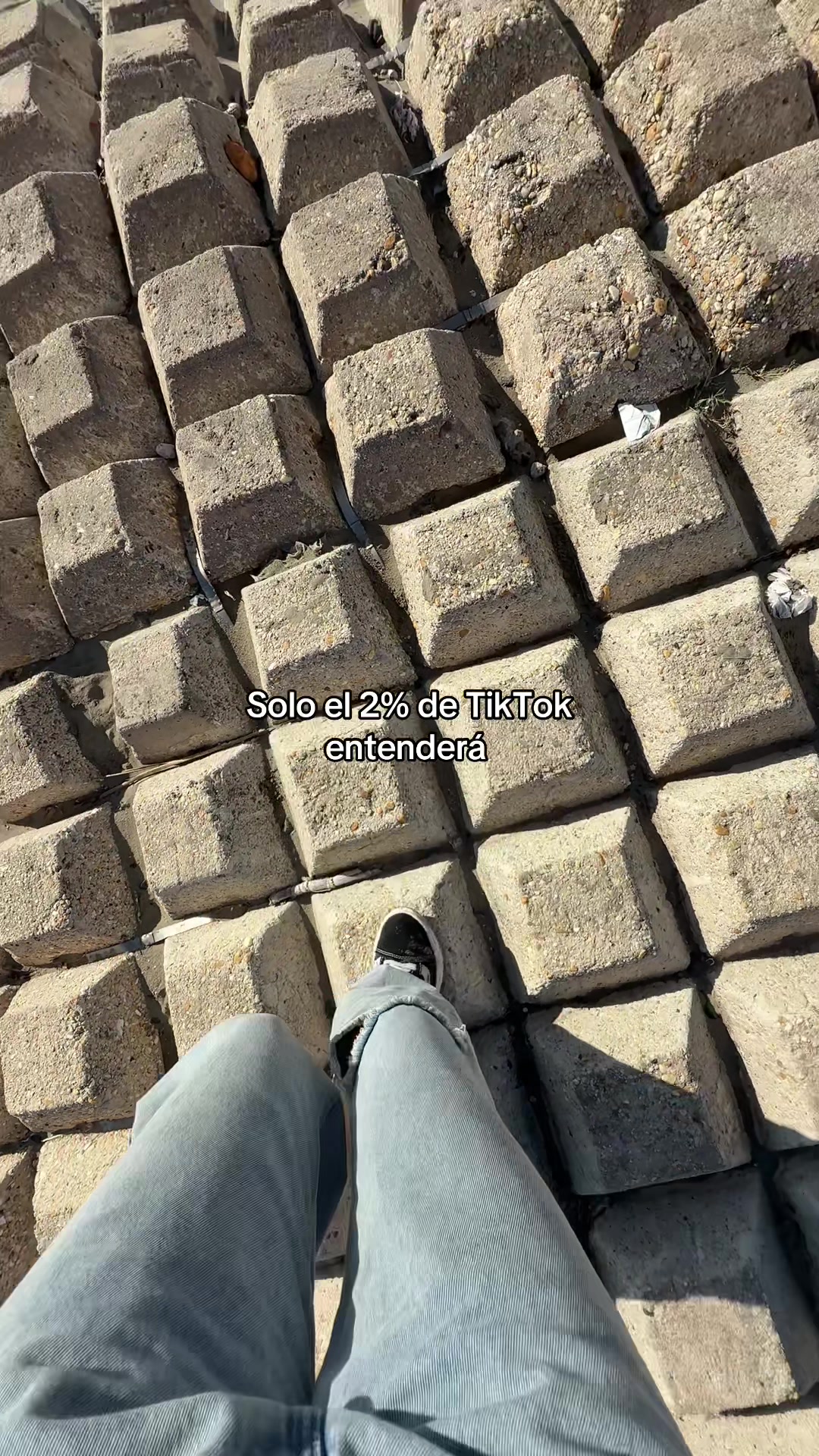 @Majo Galv&aacute;n 🦖