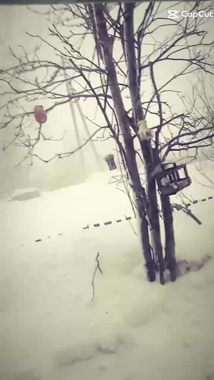 @Зеленоглазая🔥✅