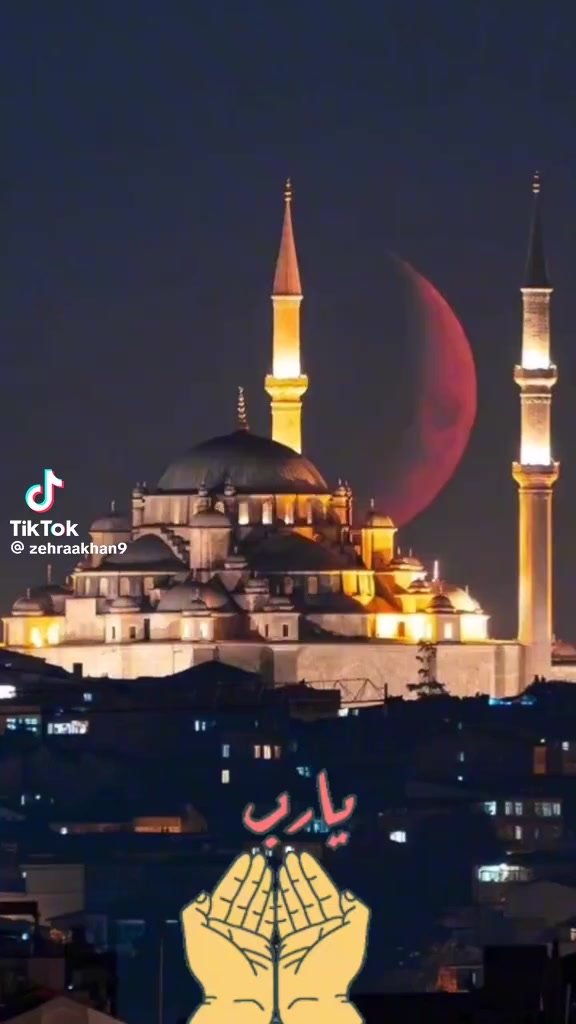 @Dünyaemlak46