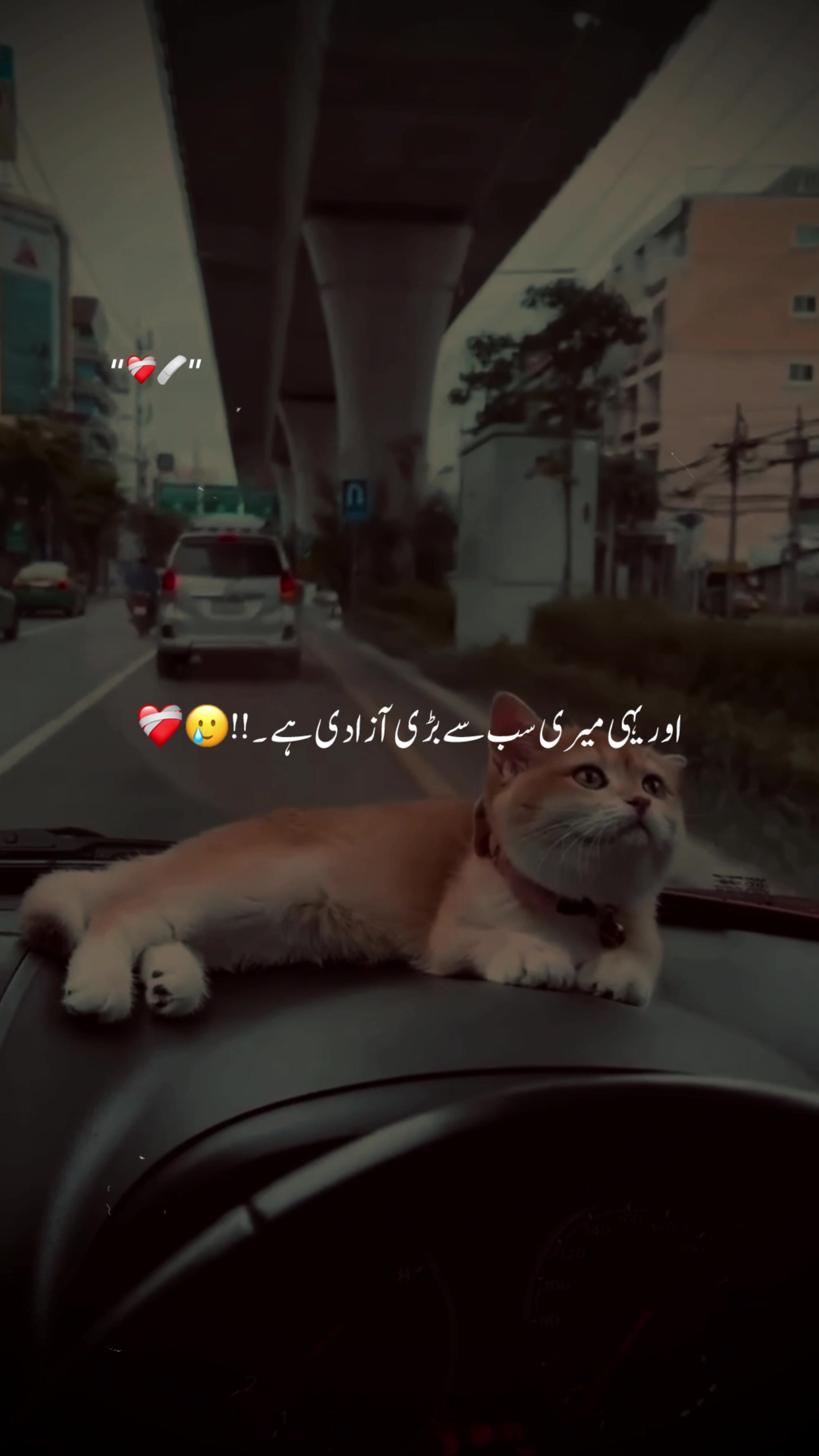 @♡︎𝗔𝗦𝗟𝗔𝗠_𝗘𝗗𝗜𝗧𝗫 ⋆⟡♡