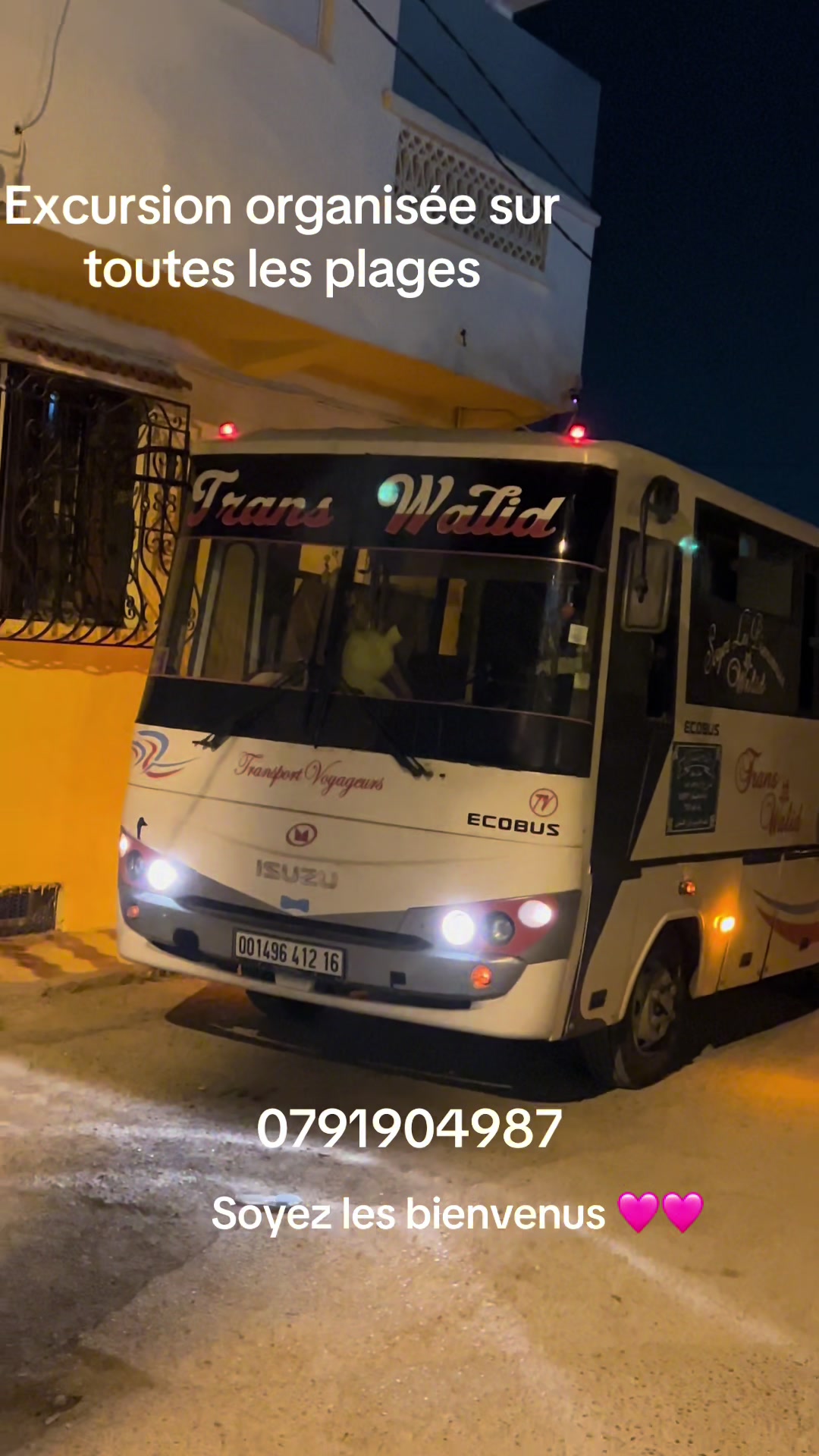 @trans_walid