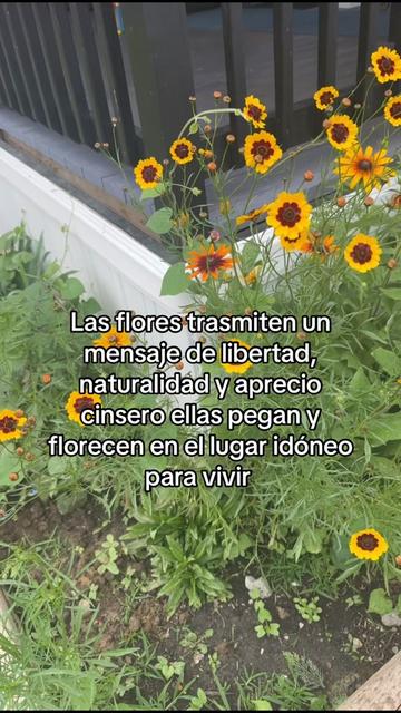 @💜RBD♑️ROSSY💜