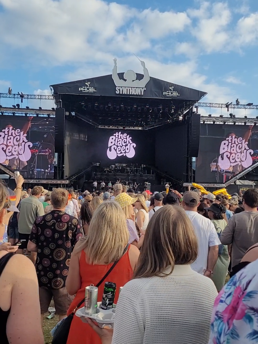 @Ana in Aotearoa